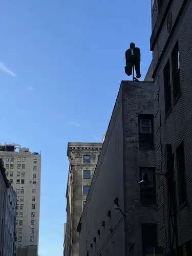 An unexpected rooftop resident against the blue.